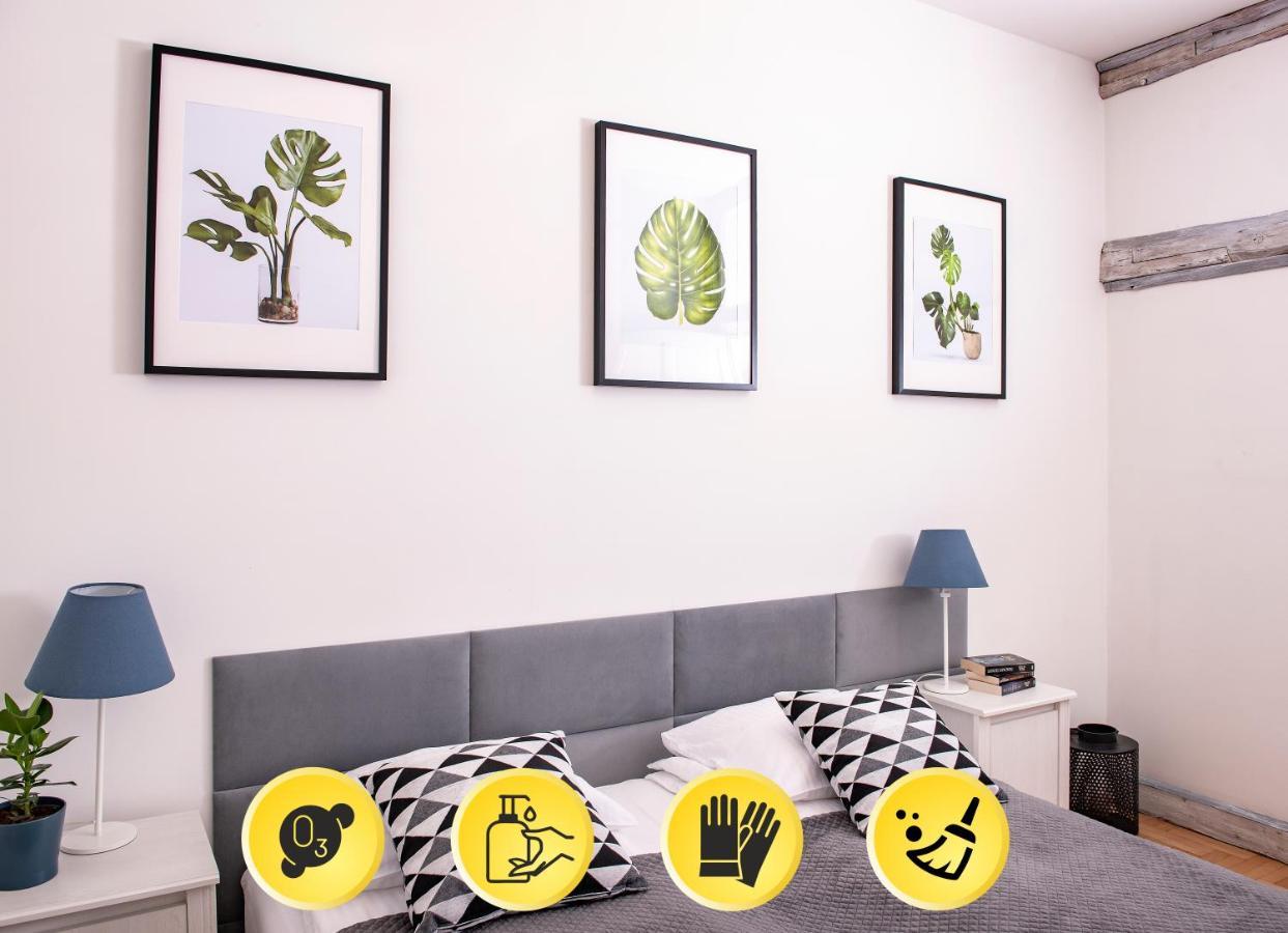 3D Florianska 15 Apartament Kraków Eksteriør billede